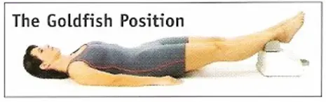 Chimaskine position 2